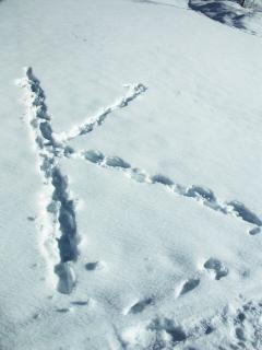 PICT0056.JPG